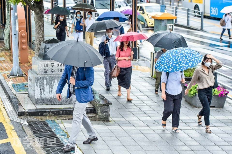 장마가 시작된 24일 제주시 제주시청 교차로에 갑자기 내린 비를 피해 시민들이 우산을 쓰고 발걸음을 재촉하고 있다. 고봉수 기자 chkbs9898@jejunews.com