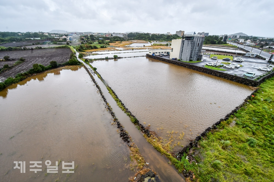 제10호 태풍 “하이선(HAISHEN)”강타하고 지나간 7일 서귀포시 성산읍 고성리 일대에 밭들이 많은 비에 침수 되어 있다. 고봉수 기자 chkbs9898@jejunews.com