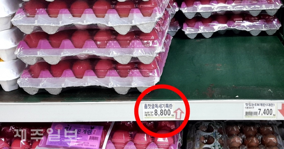 14일 제주시지역 한 마트에서 계란 특란 한 판이 8800원에 판매되고 있는 모습.