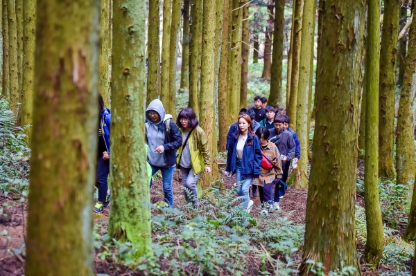 2019년 열린 삼다수숲길 삼삼오오 걷기대회에서 참가자들이 지질 전문가와 함께 탐방을 하고 있다.
