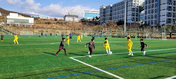 동계전지훈련 시즌 서귀포시에서 개최된 초등 축구 스토브리그 대회 모습.