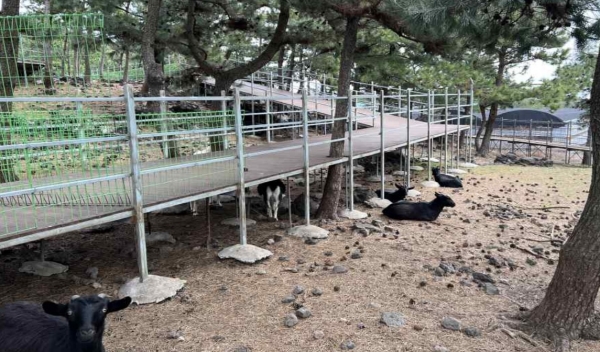 A씨가 지하수 자원 보전지구인 서귀포시 모 오름에 흑염소 관광농장을 운영하면서 설치한 불법 구조물의 모습.