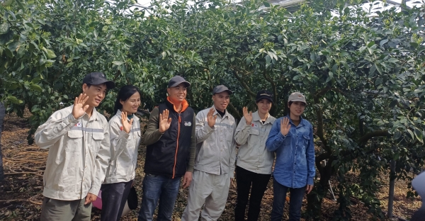 지난해 11월부터 제주 ‘감귤 농사꾼’으로 변신한 베트남 근로자들이 약 5개월 간의 활약을 끝내고 고향으로 떠난다.