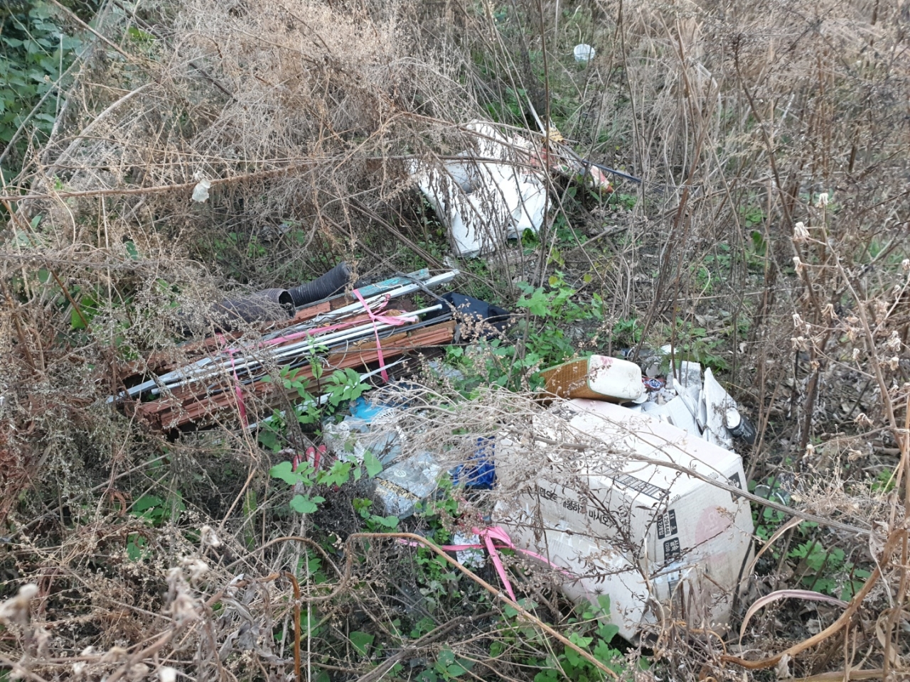 나무 주변 공터에 버려진 쓰레기들