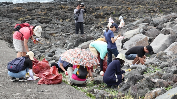 제주환경운동연합 캠페인 참가자들이 제주지역 해변에서 쓰레기를 수거하고 있다.