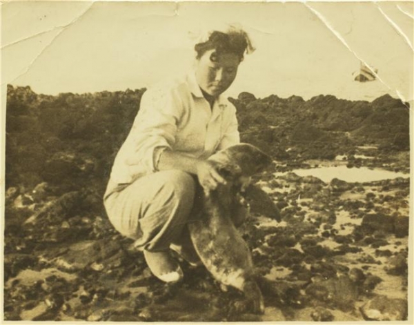 김공자 해녀가 1950년대 독도 바다사자인 '어린 강치'를 안고 있는 모습. 사진 경상북도 제공.